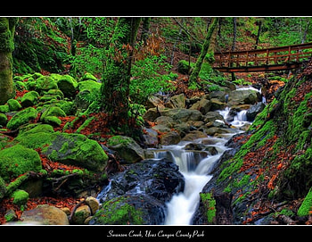 BEAUTIFUL,BABBLING,BROOK, brook, gorgeous, waterfall, babbling, small HD wallpaper