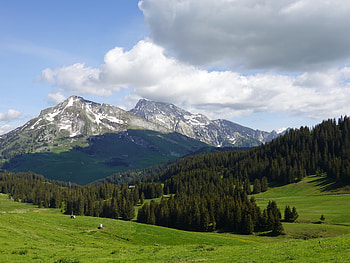 Nature, Trees, Mountains, Snow, Vertex, Tops, Snow Covered, Snowbound HD wallpaper
