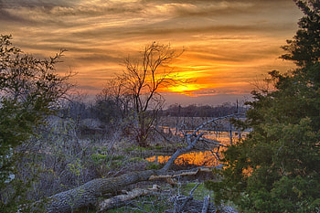 Nature, Water, Trees, Sunset, Reflection, Young, Greens, Spring, Log HD wallpaper