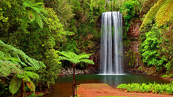 Waterfall wonder, Natural beauty, Majestic cascade, Scenic paradise HD wallpaper