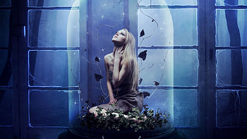 blue night, blue, leaves, color, , girl HD wallpaper
