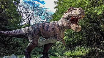 Tyrannosaurus , High definition, Dinosaur art, backgrounds HD wallpaper