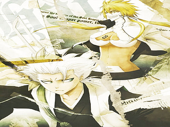 Tia Harribel, Toushiro Hitsugaya, harribel, bleach, tia, anime, toushiro, hitsugaya HD wallpaper