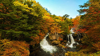 Fall colours - Ryuzu waterfalls, Japan, leaves, rocks, river, cascades, trees, colors HD wallpaper