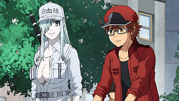 Cells at Work! Code Black, Episode 13, Final discussion, Ranime HD wallpaper