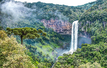 Caracol Falls, Rainforests HD wallpaper