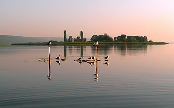 Landscape, Birds, Rivers HD wallpaper