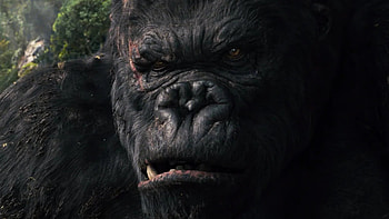 King Kong 2005, Remake masterpiece, U, Spectacular HD wallpaper