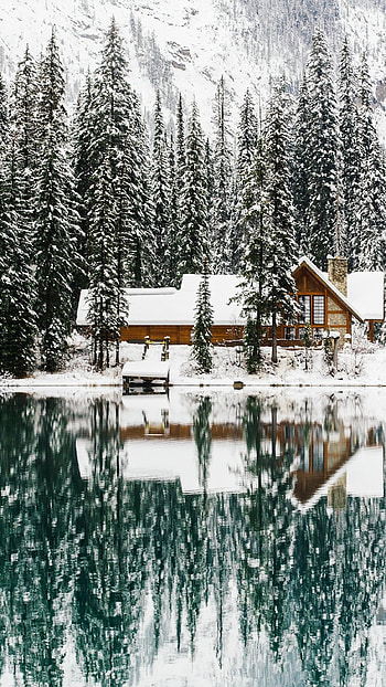 Winter, Cool Nature HD phone wallpaper