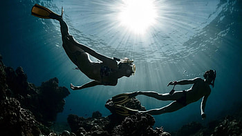 diving, Sports, ing , Immersive Experience HD wallpaper