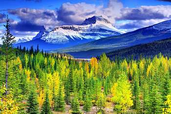 AUTUMN, leaves, enchanting nature, landscape, clouds, nature, seasons, splendor HD wallpaper