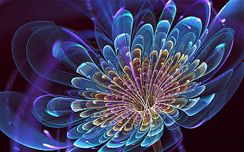 Abstract, Patterns, Flower, Bright, Lines, Rotation HD wallpaper