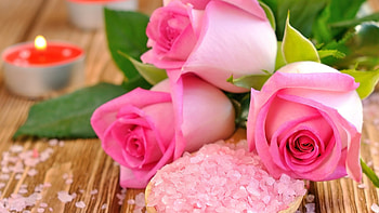 Pink roses and candle, Romantic ambiance, Serene tranquility, Intimate beauty HD wallpaper