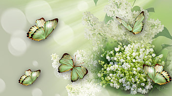 Springtime, bokeh, buds, lily of the valley, floral, Firefox Persona theme, butterflies, blossoms, green, flowers HD wallpaper