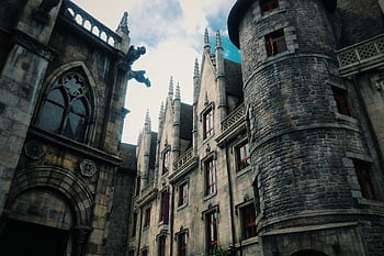 Explore the intricate medieval Gothic architecture, featuring dramatic gargoyles and historic stone facades. HD wallpaper