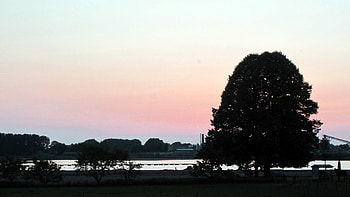 Sunset at the river, river, horizon, sunsets, trees, nature, sunset HD wallpaper