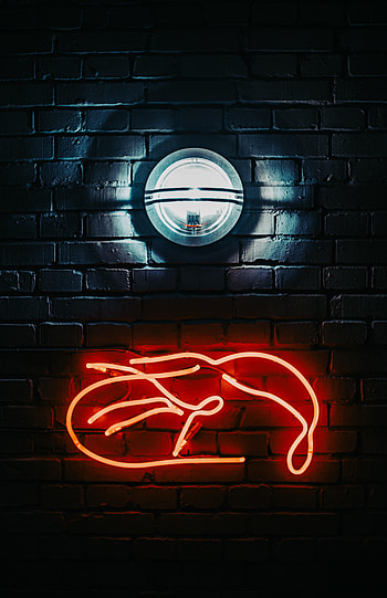 Dark, Shine, Light, Wall, Neon, Lamp HD phone wallpaper