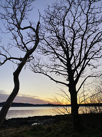 Nature, Rivers, Trees, Twilight, Shore, Bank, Dusk HD phone wallpaper