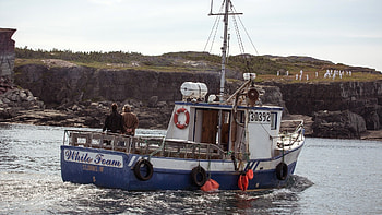 The Grand Seduction movie, Backdrops, The movie database, Tmdb HD wallpaper