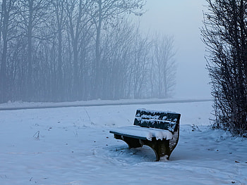 Snowy park, winter, bench, nature, snow HD wallpaper