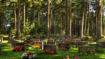 serene cemetery, cemetery, head stones, flowers, grass, forest HD wallpaper
