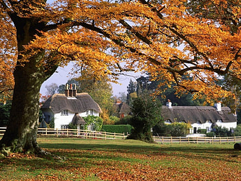 Landscape, Houses, Autumn HD wallpaper