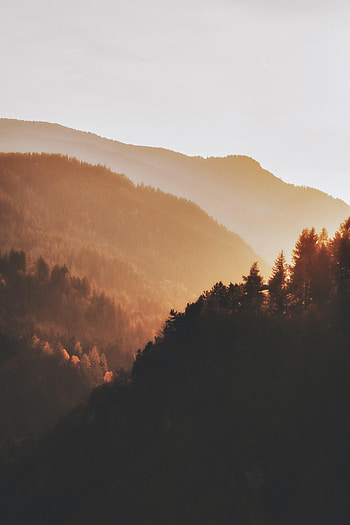 Nature, Trees, Sunset, Forest, Hills HD phone wallpaper