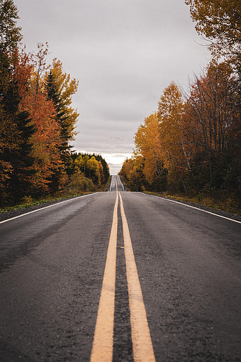 Nature, Autumn, Road, Markup HD phone wallpaper