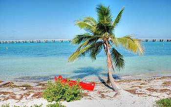 Florida Keys , West Palm Beach, Romantic getaway, Tropical vibes HD wallpaper