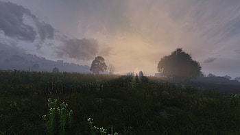 Sunrise, video game, DayZ HD wallpaper
