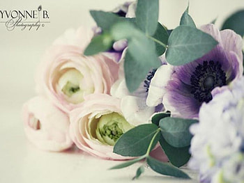 My favorite flowers, pastel, bouquet, favorite, soft, purple, pink, love, nature, flowers HD wallpaper