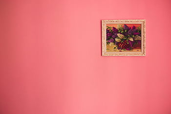 Bright floral painting in ornate frame against a pink background. HD wallpaper