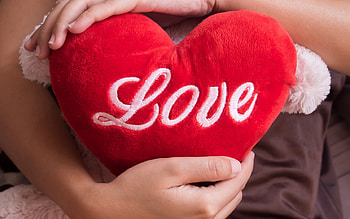Love, valentine, white, red, heart, hand HD wallpaper