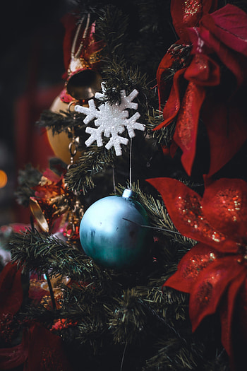 Holidays, New Year, Decorations, Christmas, Christmas Tree HD phone wallpaper