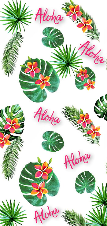 Aloha, tropical, flowers, palms, hawaiian HD phone wallpaper