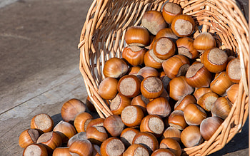 Hazelnuts on table, Organic graphy, Nutty , High definition HD wallpaper