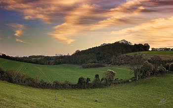 Nature, Trees, Fields, Greens, Band, Stripe HD wallpaper