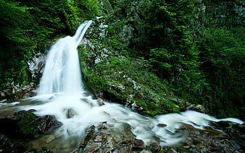 Nature, Stones, Mountains, Rocks, Waterfall, Forest, Greens, Flow, Stream HD wallpaper