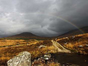 Rainbow Scene, road, nature, mountains, rainbows HD wallpaper