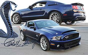 Super Snake, snake, ford, cobra, mustang, super HD wallpaper