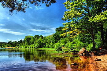 Lake, nature, forest, green HD wallpaper