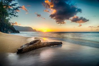 Driftwood On Beach At Sunset On North Shore Of Kauai , beach, sunset, nature HD wallpaper