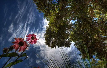 A Time for Daydreams, daydreams, time HD wallpaper