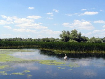 Romania-Danube Delta, danube delta, romania HD wallpaper