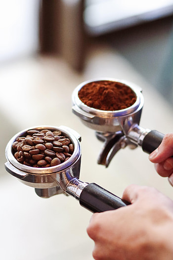 Food, Hands, Grains, Coffee Beans, Grain, Barista, Ground Coffee HD phone wallpaper