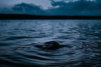 Water, Waves, Dark, Ripples, Ripple, Surface HD wallpaper