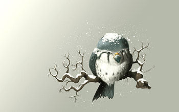 Waiting For Sunner, cg, bird, 3d HD wallpaper