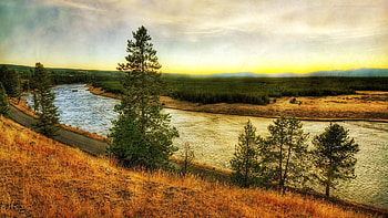 Nature, Rivers, Grass, Autumn, Pine, Shore, Road, Color, Colors, Withered, It's A Sly, Paints, Shores HD wallpaper