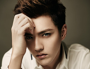 Kris Wu, asian, man, actor, silver, face, the legend of the ravaging dynasty, hand HD wallpaper