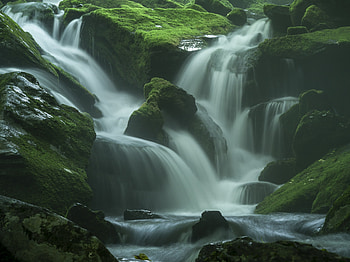 Moss, nature, water stream HD wallpaper